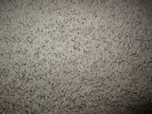Hardwood Flooring Installation North Carolina
